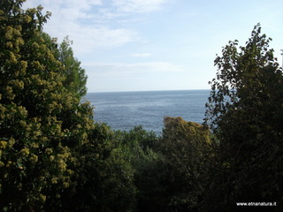 uccio-13-11-2012 09-35-28